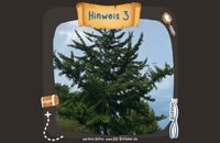 Hinweis 3