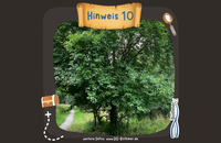 Hinweis 10